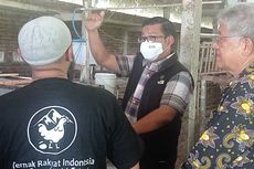 Badan Pangan Nasional Dorong BUMN dan Swasta Serap Ayam Hidup Peternak Mandiri Kecil