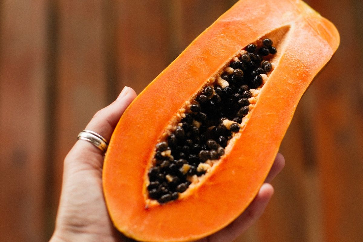 Ilustrasi buah pepaya, biji pepaya.