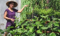 Pelapor Khusus PBB Kagumi Pertanian Lokal Indonesia