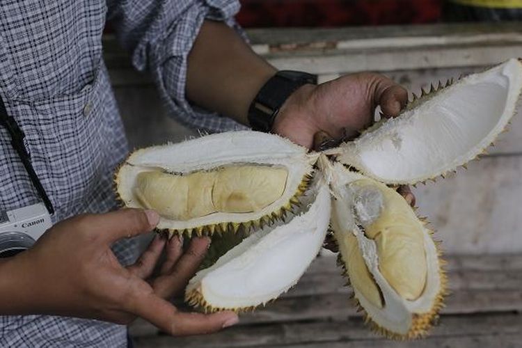 Wisatawan menikmati daging buah durian Criwik di pinggir Jalan Jatirogo, Lasem, Rembang, Jawa Tengah, Minggu (12/2/2017). Durian Criwik adalah salah satu buah yang dihasilkan dari Desa Criwik, Kecamatan Pancur, Kabupaten Rembang, Jawa Tengah.