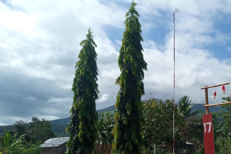 Foto: Tampak tower mini yang dibangun di samping Kantor Desa Ojandetun, Kecamatan Wulangnggitang, Kabupaten Flores Timur, Nusa Tenggara Timur (NTT).
