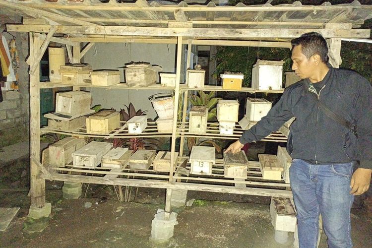 TKP pencurian sarang lebah madu trigona yang berada di Desa Batulayar, Lombok Barat, Jumat (8/3/2024).