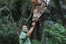 Prakiraan Cuaca Bogor Hari Ini Selasa 29 Oktober 2024, dan Besok : Tengah Malam ini Cerah