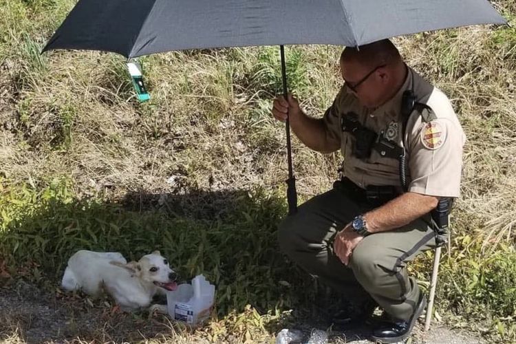 Petugas Tennessee Highway Patrol Clinton Tudors Selamatkan Anjing yang Tergeletak di Pinggir Jalan