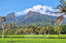 Seperti Ini Medan Gunung Saeng, Lokasi Pendaki Asal Jember Jatuh