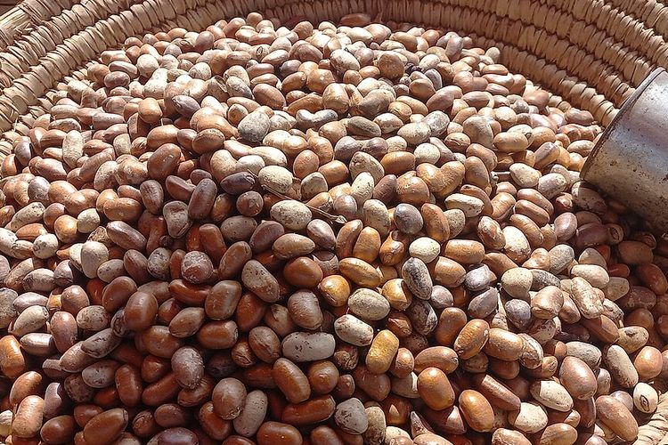 Kuasai Separuh Pasar Dunia, Indonesia Genjot Mutu Pala