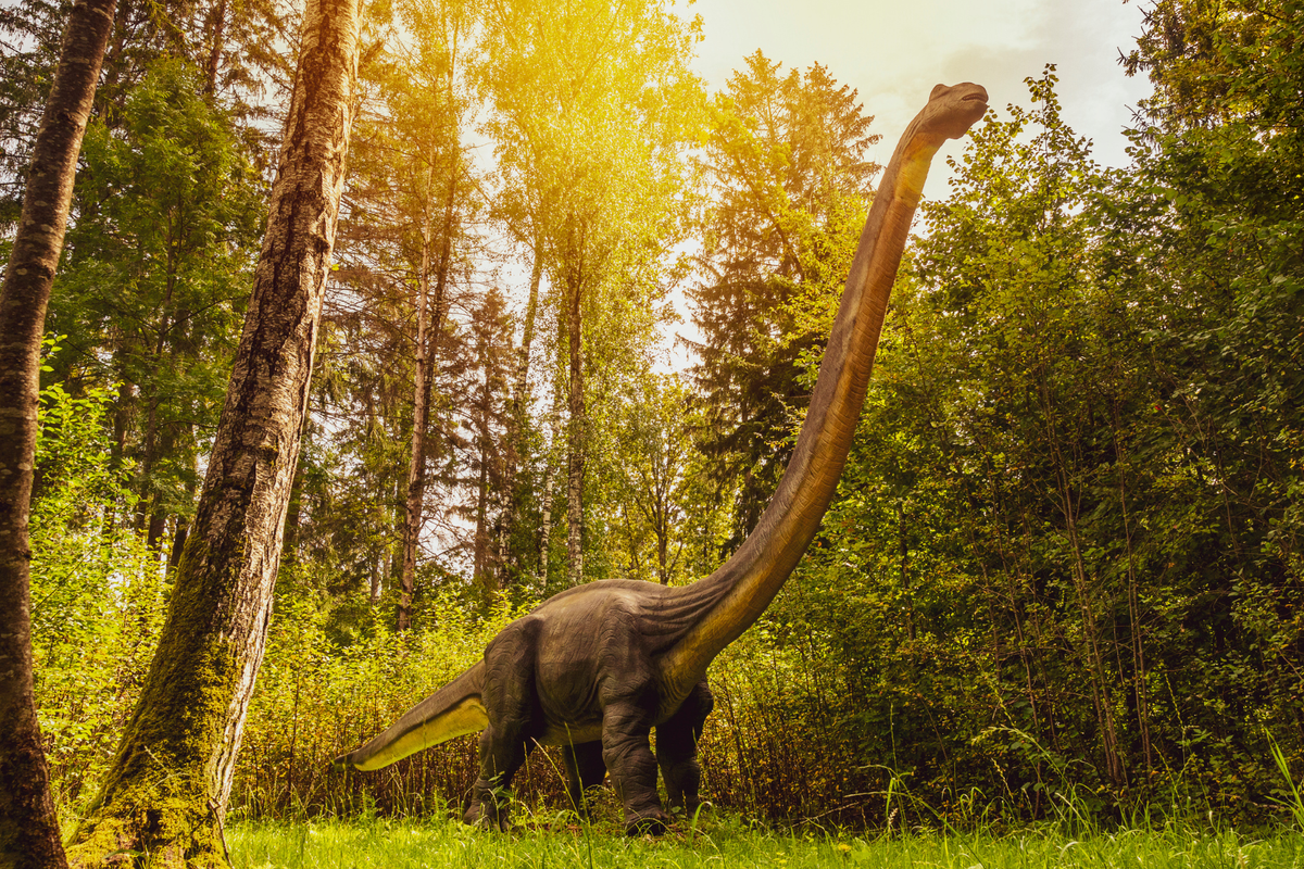 Dinosaurus dan Manusia: Apa Benar Mereka Hidup di Era yang Sama?