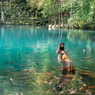 10 Wisata Alam di Kuningan Jawa Barat, Banyak yang Masih Asli 