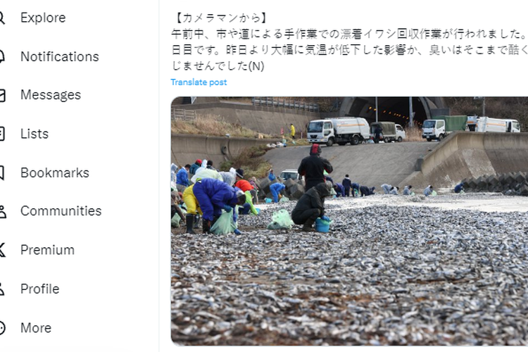 Tangkapan layar ribuan ikan sarden terdampar di Jepang
