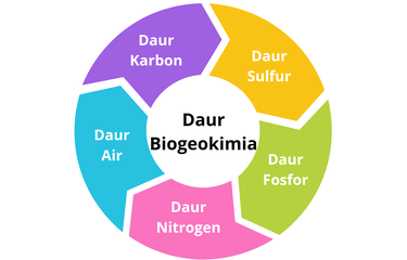 Daur biogeokimia terdiri dari daur air, daur karbon, daur nitrogen, daur fosfor, dan daur sulfur.