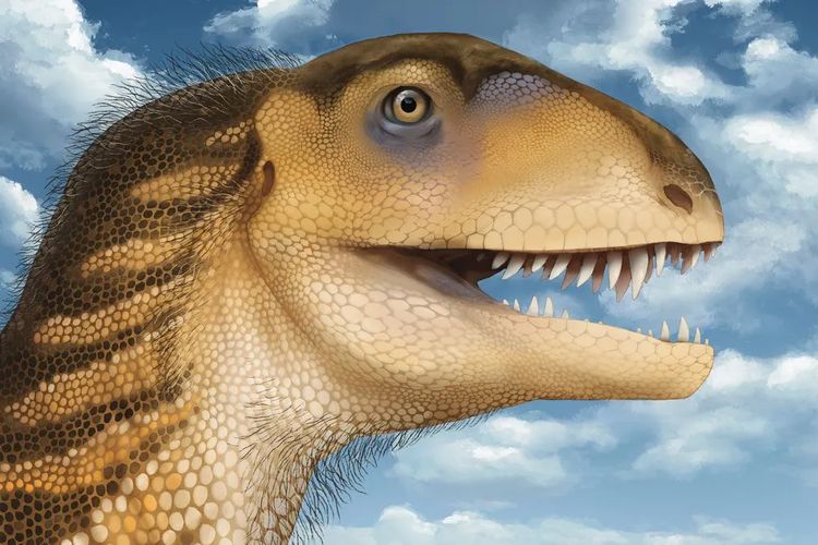 Ptychotherates bucculentus, Dinosaurus 