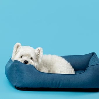 Ilustrasi tempat tidur anjing peliharaan. 