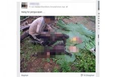 Unggah Foto Sembelih Monyet di Facebook, Pria Ini Dikecam