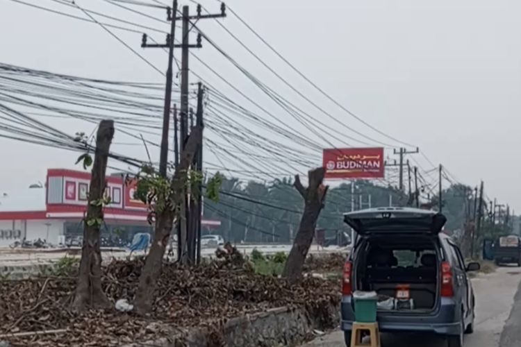 Pohon di Jalan HR Soebrantas Pekanbaru Ditebang, Warga: Kota Makin Gersang