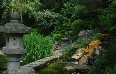 6 Jenis Tanaman yang Cocok untuk Zen Garden Ala Jepang