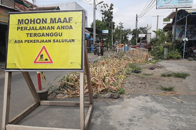 Tanaman jagung yang ditanam di proyek Rehabilitasi Saluran Air Hujan Jalan Babaran, Kelurahan Tahunan, Kecamatan Umbulharjo, Kota Yogyakarta sudah dipangkas.