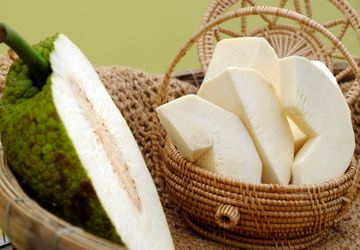 Belajar dari Sukun Kukus: Menguatkan Ketahanan Pangan lewat Keanekaragaman