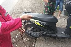 Ular Nyaris Merambat ke Tangan Perempuan Ini Saat Kendarai Motor, Bermula Parkir Dekat Pohon