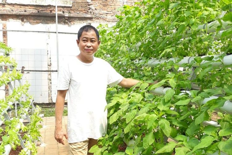 ignasius jonan di tengah kebun hidroponik rumahnya yang terletak di pekarangan rumah miliknya