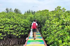 Mengenal Bumi Journey, Inisiasi Trip Wisata Peduli Lingkungan