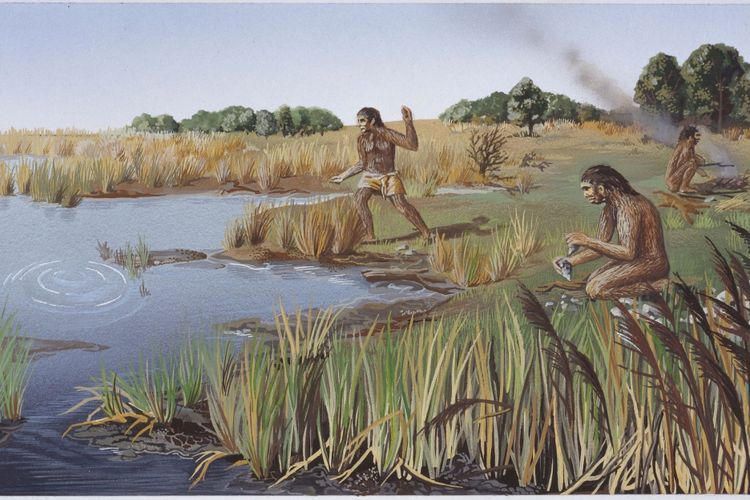 Homo Erectus, yang hidup dari 1,8 juta tahun lalu disebut sebagai manusia purba pertama yang menemukan bahasa dan menggunakannya untuk berburu dan membangun kapal yang digunakan sebagai sarana transportasi menjelajah pulau-pulau terpencil