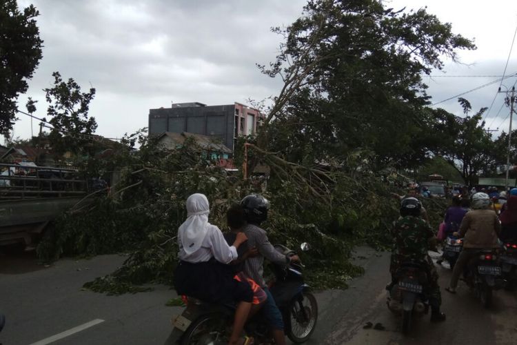 Salah satu pohon tumbang akibat angin kencang yang menerpa Kota Pontianak, Senin (4/12/2017) siang.