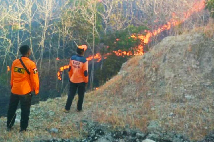 Akibat warga membakar daun kering di lahan miliknya, lahan seluas 37 hektare di Gunung Bancak, Magetan, Jawa Timur, terbakar.