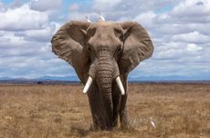 Moratelindo (MORA) dan My Republic Segera Merger, Simak Rencananya