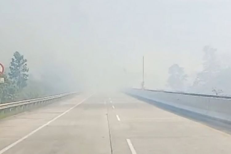 Deretan Artis Soroti Karhutla di Kalimantan 