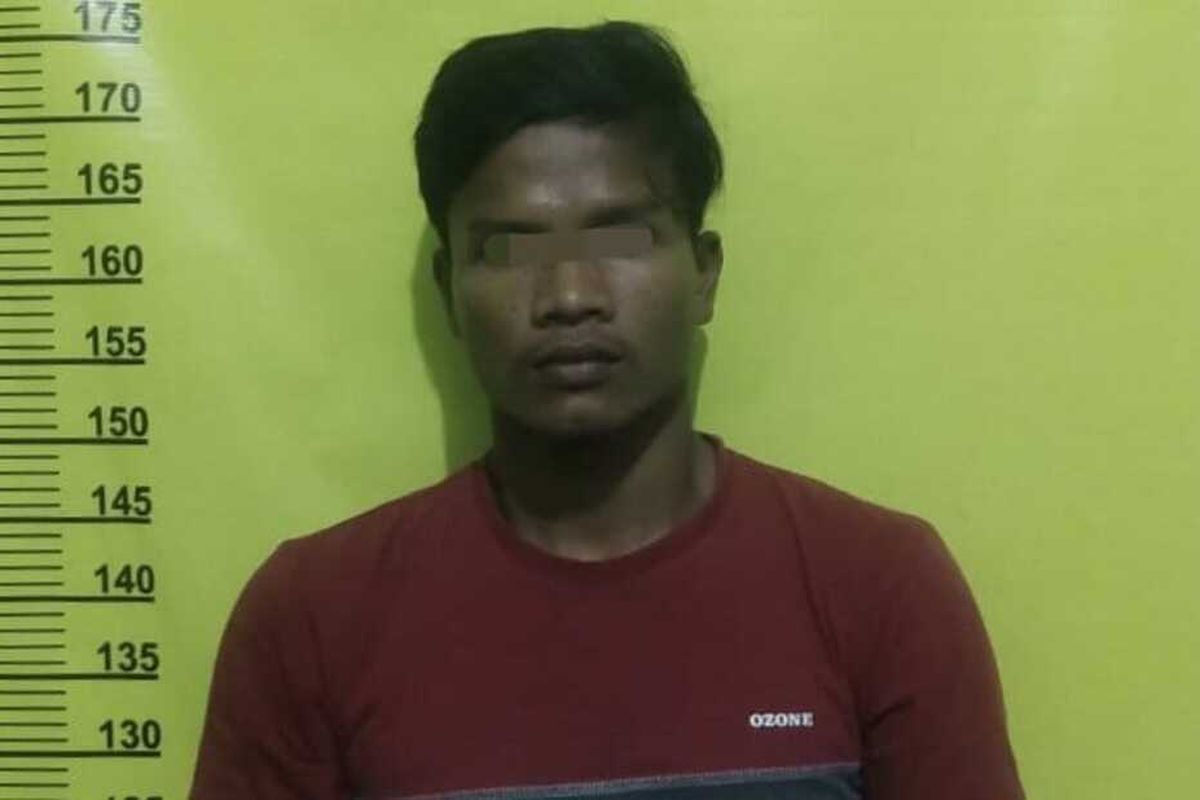 Siswi SMP Diperkosa Saat Belajar Daring dan Mencari Sinyal di Hutan Halaman  all - Kompas.com