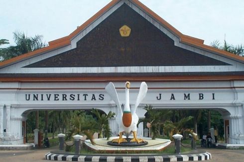 Mahasiswa Unja Manfaatkan Hama Keong Mas Jadi Pakan Ternak