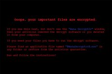 Pelajaran dari Tersebarnya Wabah Ransomware WannaCry
