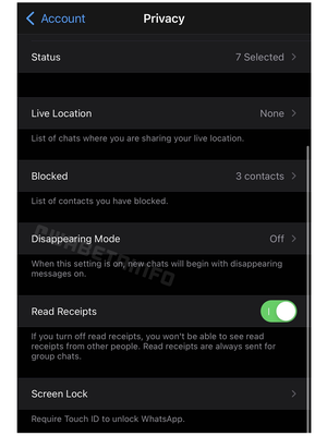 Tangkapan layar Disappearing Mode di WhatsApp yang akan mempermudah menghapus pesan secara otomatis.