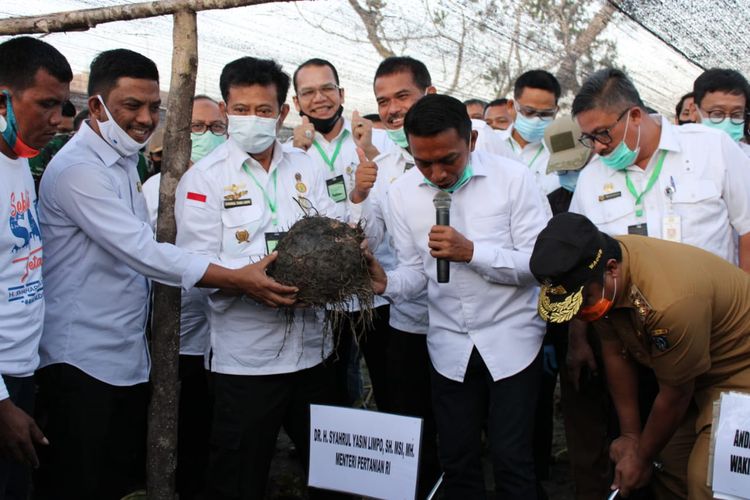 Mentan Syahrul Yasin Limpo saat saat melakukan kegiatan panen dan tanam porang di Desa Talumae, Kecamatan Watang Sidenreng, Kabupaten Sidrap, Sulsel, Selasa (28/07/2020)