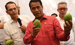 Dongkrak Ekspor Pertanian, Kementan Manfaatkan Teknologi Informasi