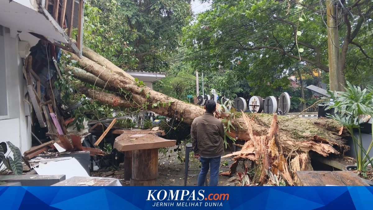 Sehari 34 Kejadian di Bandung Akibat Hujan Angin