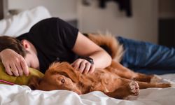 Bukan Hanya Istirahat, 5 Manfaat Tidur Siang untuk Kesehatan Fisik dan Mental