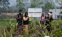 Dorong Pemberdayaan Zakat dan Masyarakat area Malang, Dompet Dhuafa Ciptakan Minuman dari Lidah Buaya