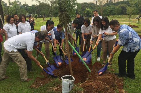 Dimulai 2019, Penanaman 200.000 Pohon di Jakarta Ditargetkan Terpenuhi pada 2022