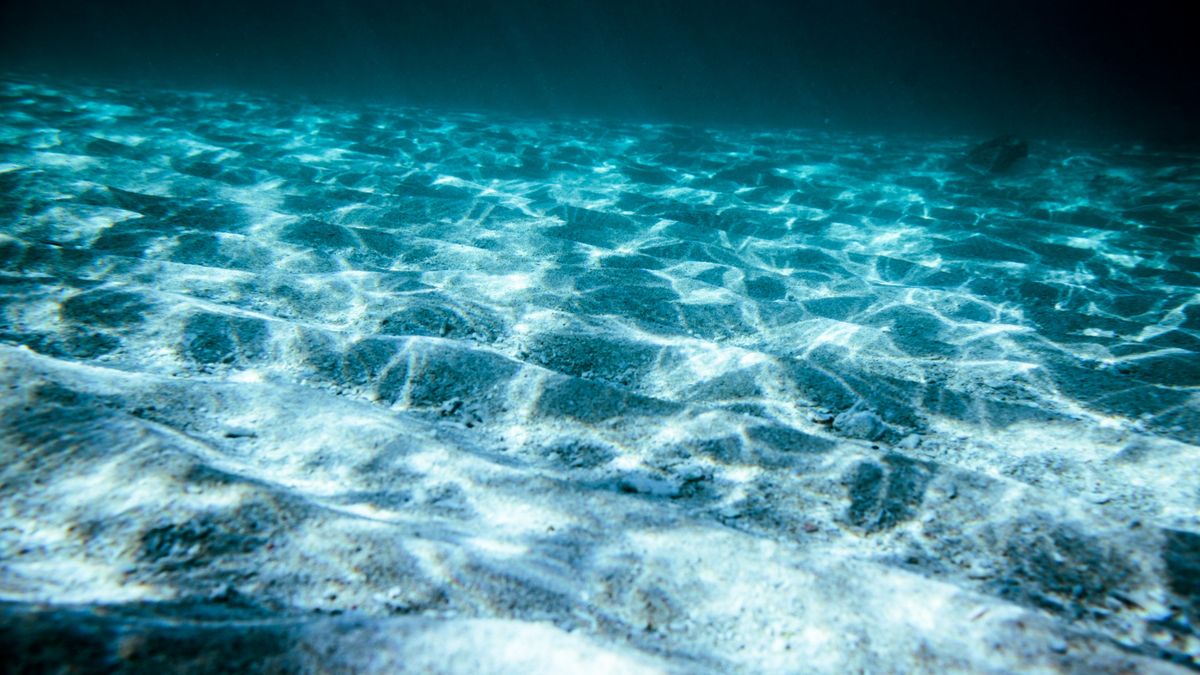 Peneliti Ungkap Kondisi Oksigen Laut Masa Depan lewat Plankton Purba

Klik untuk baca: