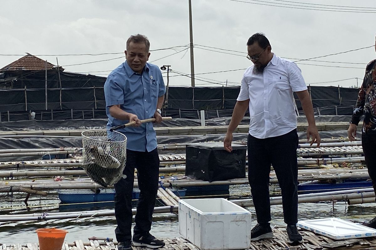 Kementeri Koperasi berkomitmen untuk memperbanyak jumlah anggota dari petani tambak ikan. Komitmen ini disampaikan Wakil Menteri Koperasi Ferry Juliantono (kiri) usai panen ikan di tambak milik Koperasi Mina Mambo Sekar Sejahtera, Kabupaten Bekasi, Jawa Barat, Rabu (22/1/2025).