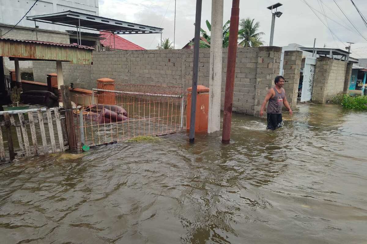 Banjir bandang melanda 5 kecamatan di Kabupaten Gorontalo akibat meluapnya danau Limboto dan Sungai Moloupo. Warga yang terdampak mencapai 7.888 jiwa dan 2.026 unit rumah.