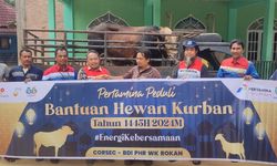 Di Momen Idul Adha 1445 H, Pertamina Salurkan 4.493 Hewan Kurban di Seluruh Indonesia