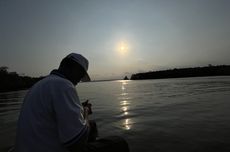 4 Aktivitas Wisata di Hutan Mangrove Mentawir IKN, Susur Hutan Naik Perahu