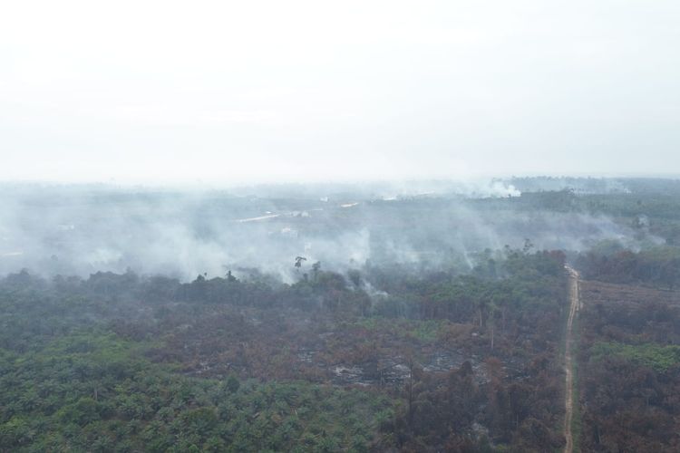 Asap Karhutla Pekat di Kaltara, BMKG: Jarak Pandang Tinggal 500 Meter