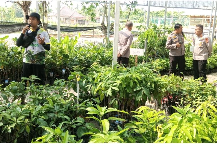 Dari Semak Belukar ke Bank Pohon, Begini Cara Riau Lawan Karhutla