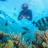 Cara Snorkeling di Karimunjawa, Harus Pesan Dahulu