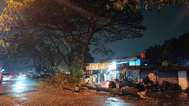 Angin Puting Beliung Terjang Bekasi, Puluhan Pohon Tumbang dan Akses Jalan Lumpuh