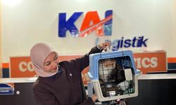KAI Punya Layanan Kirim Hewan saat Mudik, Jadi 