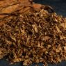 Indonesian Tobacco Catat Kenaikan Laba Bersih 9,45 Persen di Kuartal I-2023